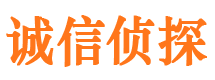 长江新区私家调查公司